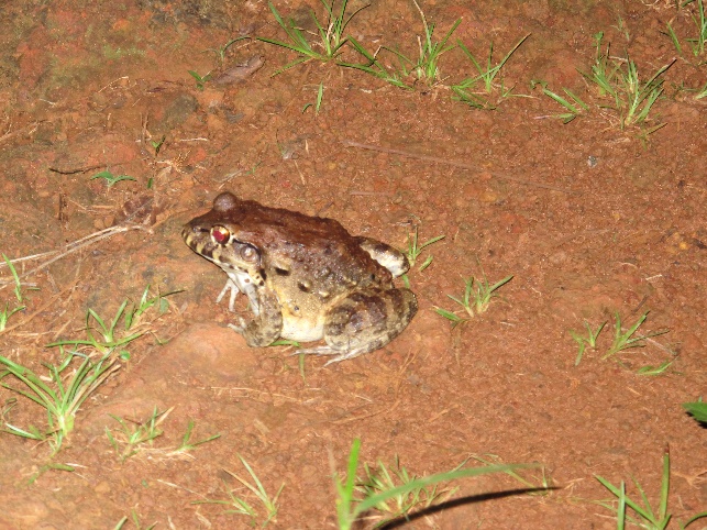 Imagem de destaque da notícia
